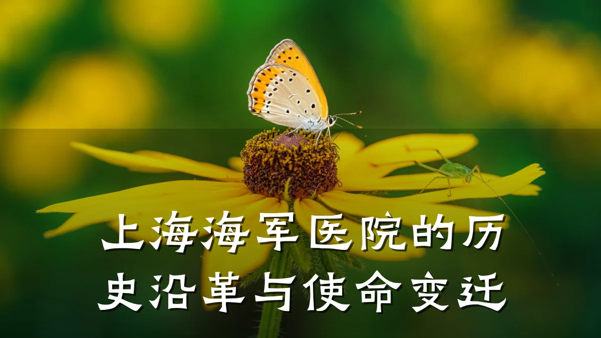 上海海军医院的历史沿革与使命变迁