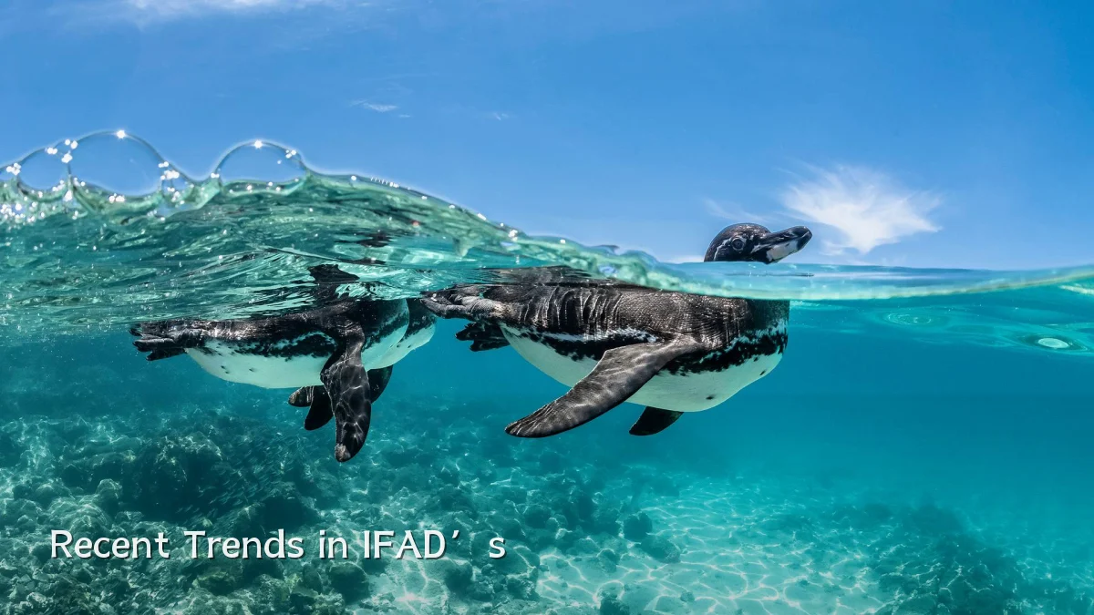 Recent Trends in IFAD’s