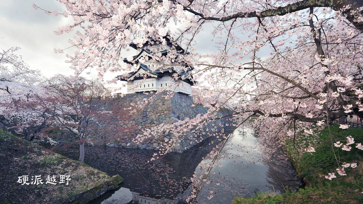 硬派越野
