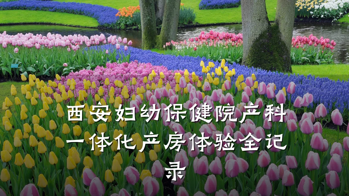 西安妇幼保健院产科一体化产房体验全记录