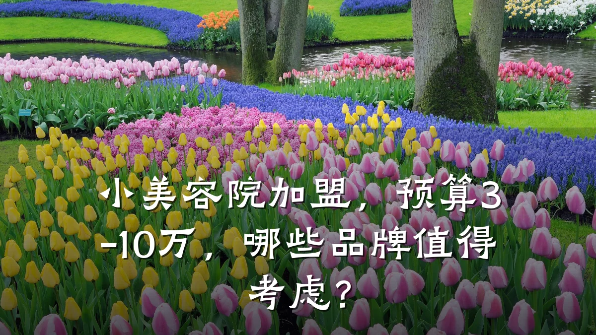 小美容院加盟,预算3-10万,哪些品牌值得考虑?