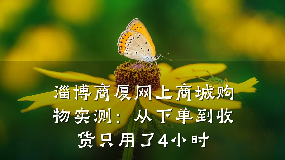 淄博商厦网上商城购物实测：从下单到收货只用了4小时