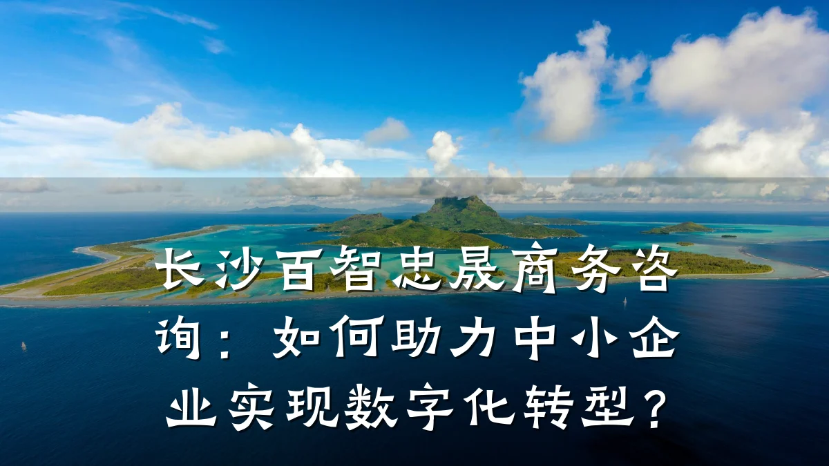 长沙百智忠晟商务咨询:如何助力中小企业实现数字化转型?