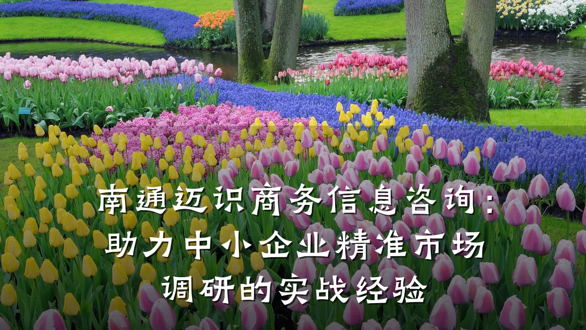 南通迈识商务信息咨询:助力中小企业精准市场调研的实战经验