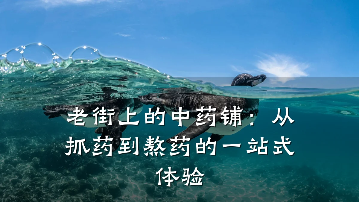 老街上的中药铺：从抓药到熬药的一站式体验