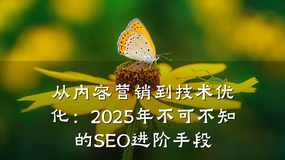 从内容营销到技术优化:2025年不可不知的SEO进阶手段