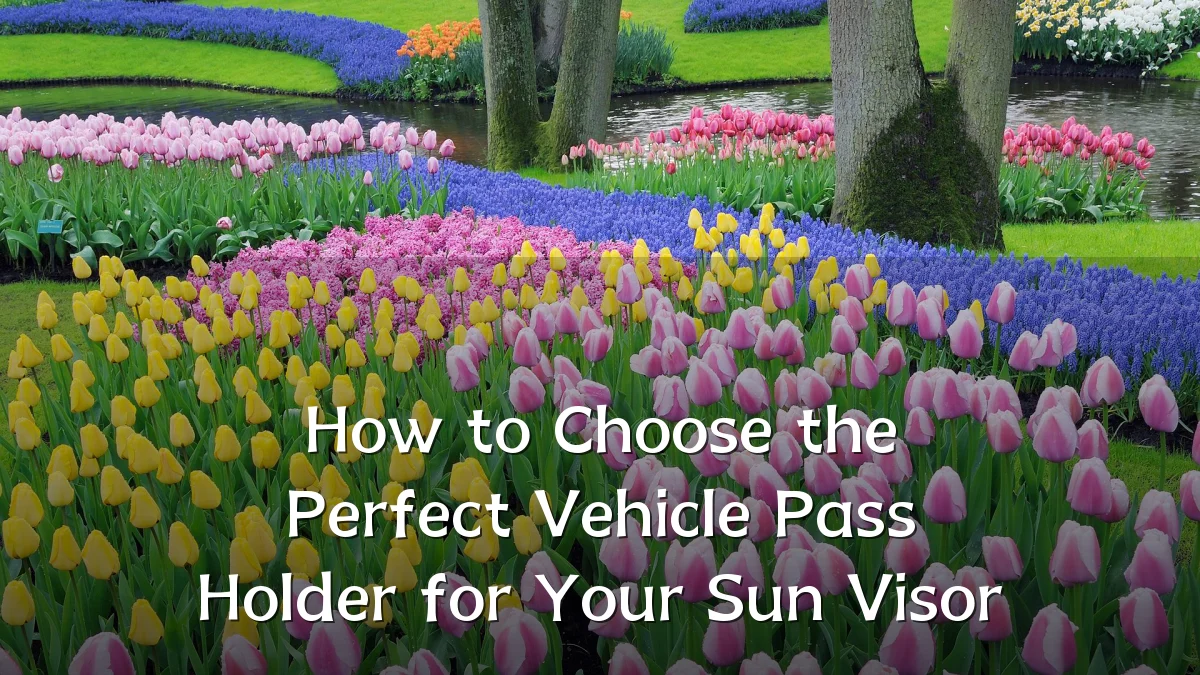 How to Choose the Perfect Vehicle Pass Holder for Your Sun Visor