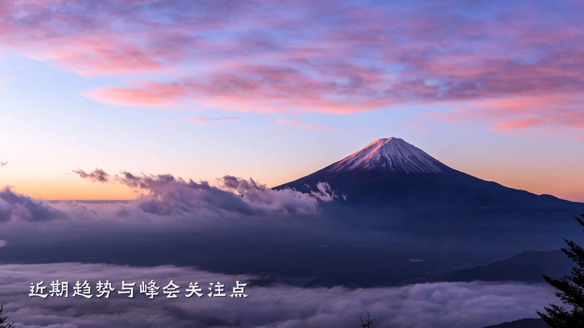 近期趋势与峰会关注点