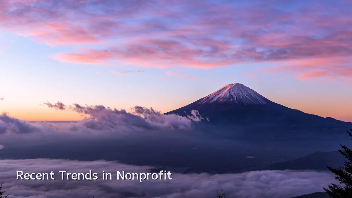 Recent Trends in Nonprofit