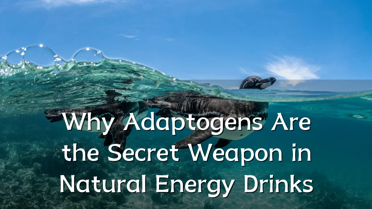 Why Adaptogens Are the Secret Weapon in Natural Energy Drinks