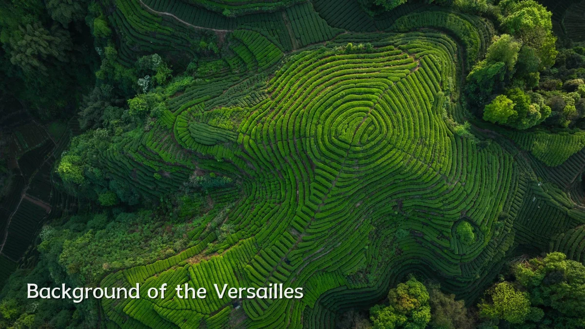 Background of the Versailles