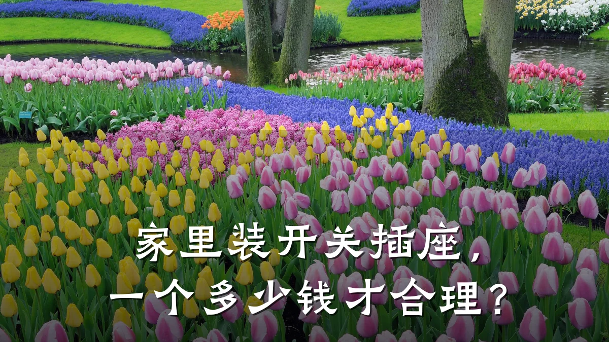 家里装开关插座，一个多少钱才合理？