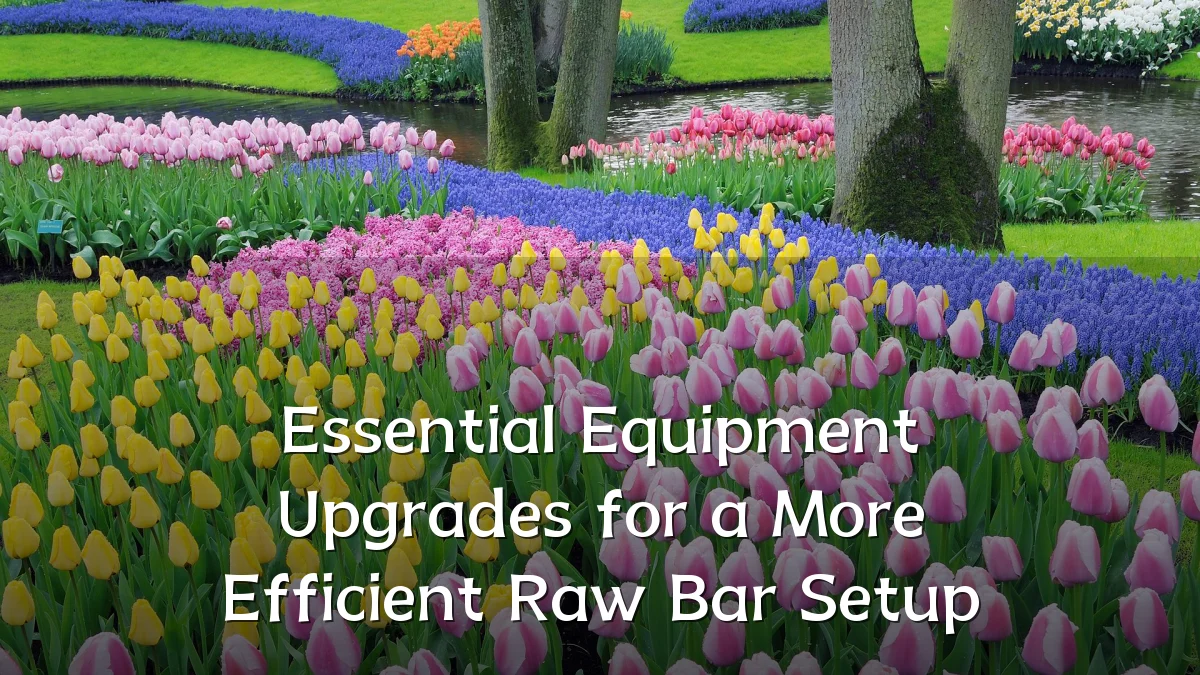 Essential Equipment Upgrades for a More Efficient Raw Bar Setup