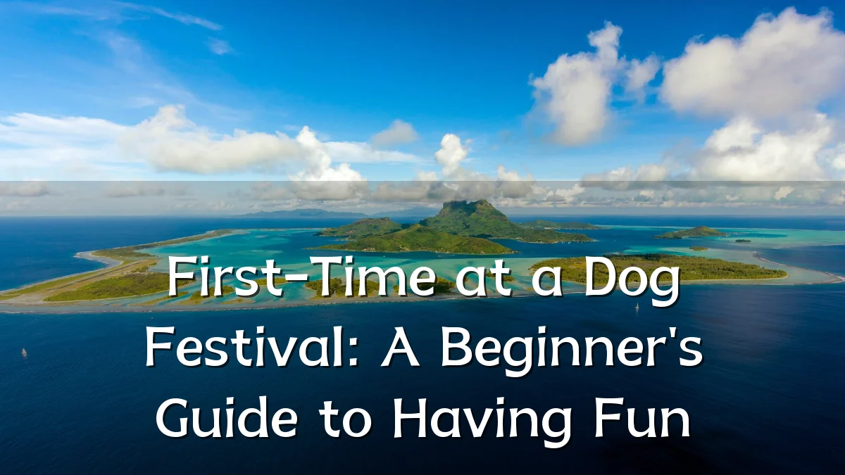 First-Time at a Dog Festival: A Beginner's Guide to Having Fun