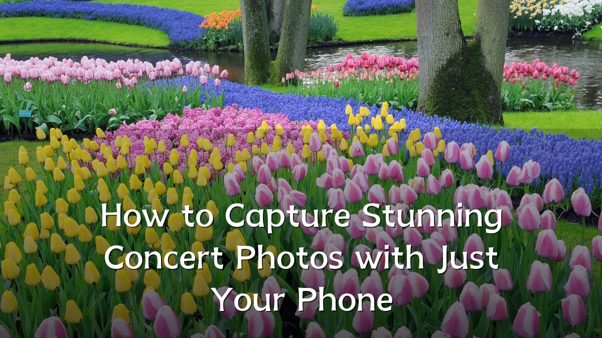 How to Capture Stunning Concert Photos with Just Your Phone