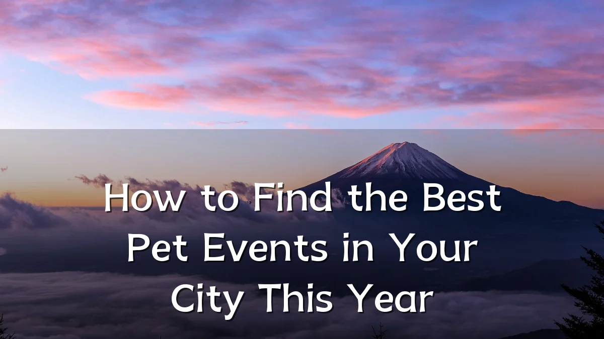 How to Find the Best Pet Events in Your City This Year