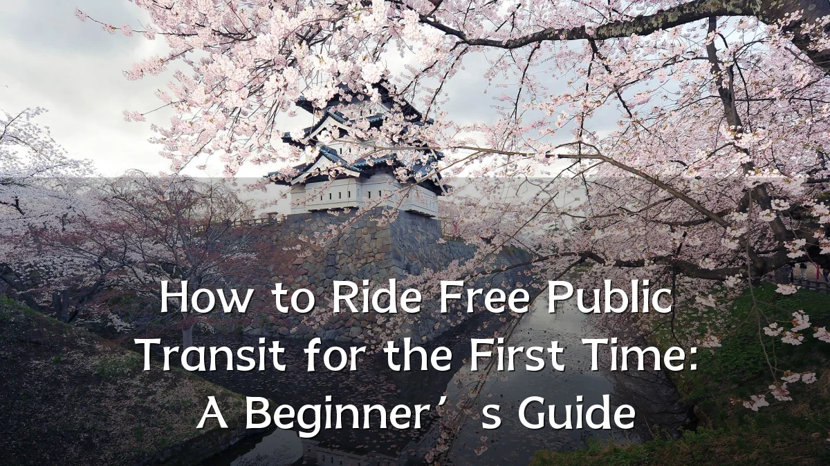 How to Ride Free Public Transit for the First Time: A Beginner’s Guide