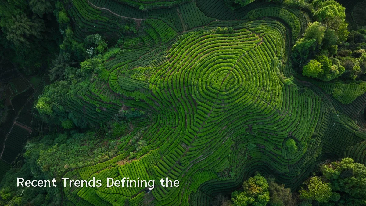 Recent Trends Defining the