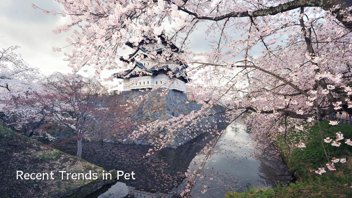 Recent Trends in Pet