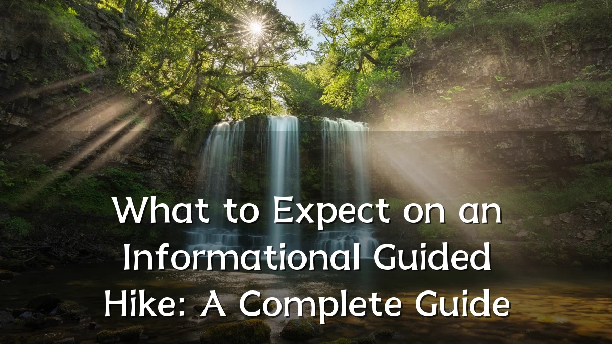 What to Expect on an Informational Guided Hike: A Complete Guide