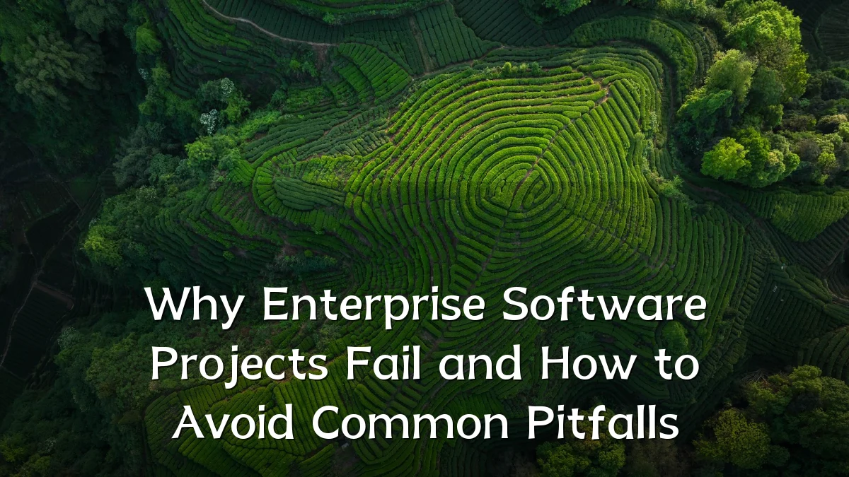 Why Enterprise Software Projects Fail and How to Avoid Common Pitfalls