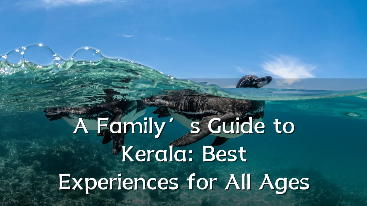 A Family’s Guide to Kerala: Best Experiences for All Ages