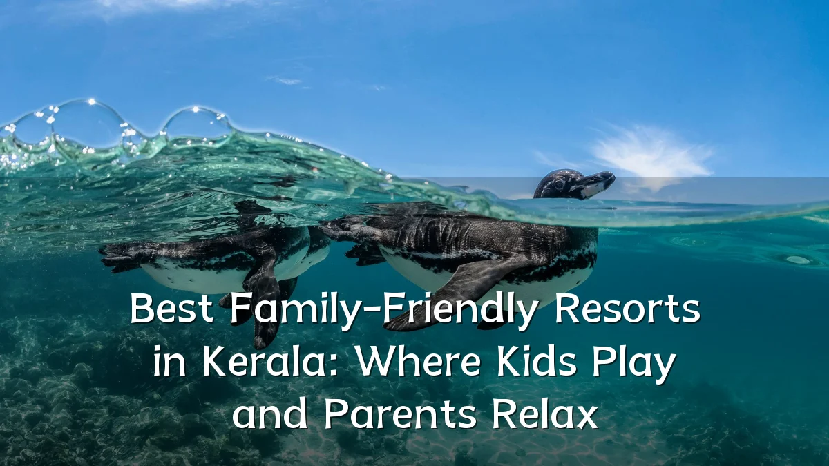 Best Family-Friendly Resorts in Kerala: Where Kids Play and Parents Relax