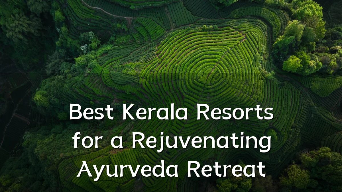 Best Kerala Resorts for a Rejuvenating Ayurveda Retreat