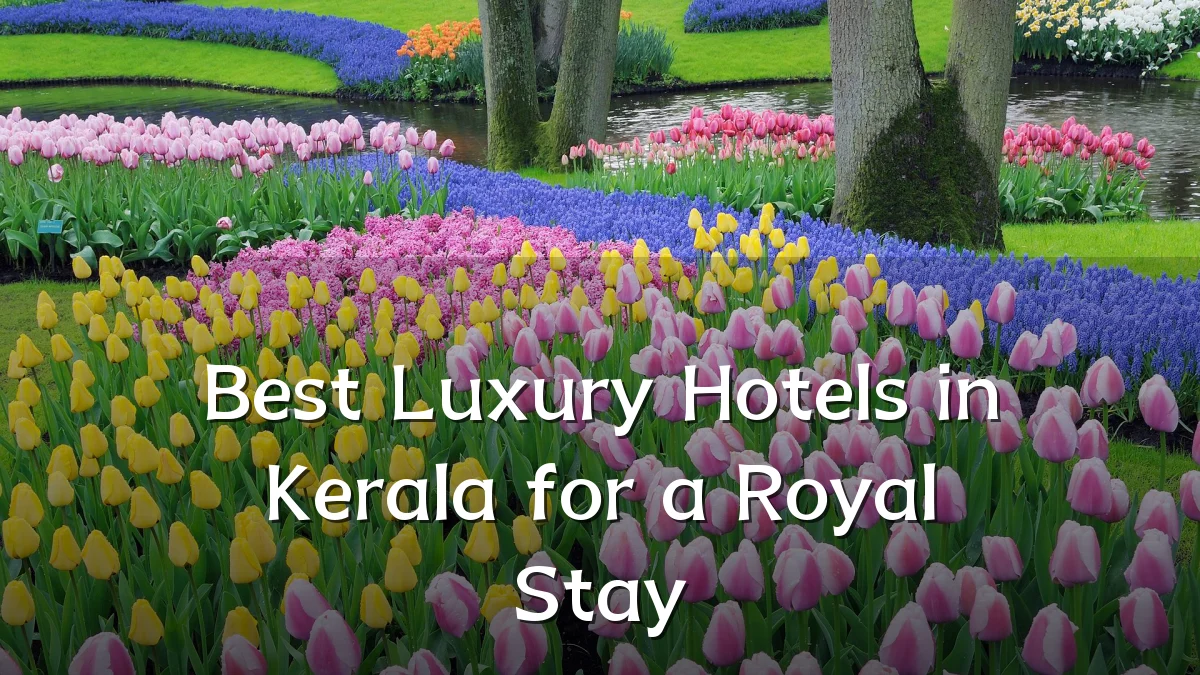 Best Luxury Hotels in Kerala for a Royal Stay