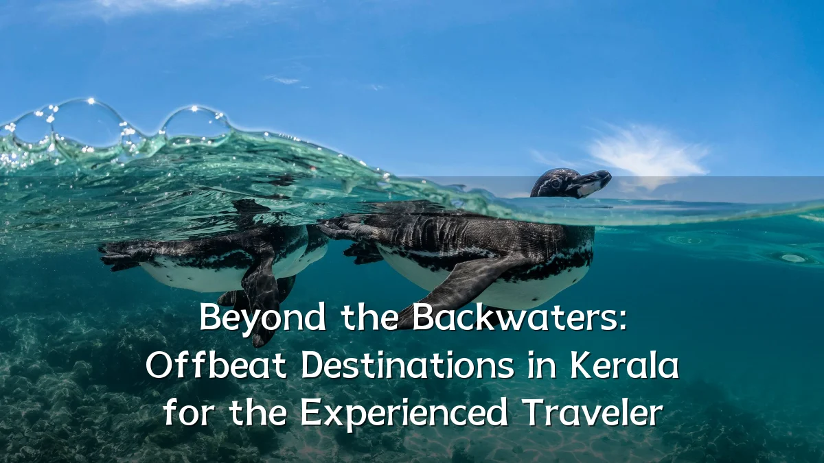 Beyond the Backwaters: Offbeat Destinations in Kerala for the Experienced Traveler