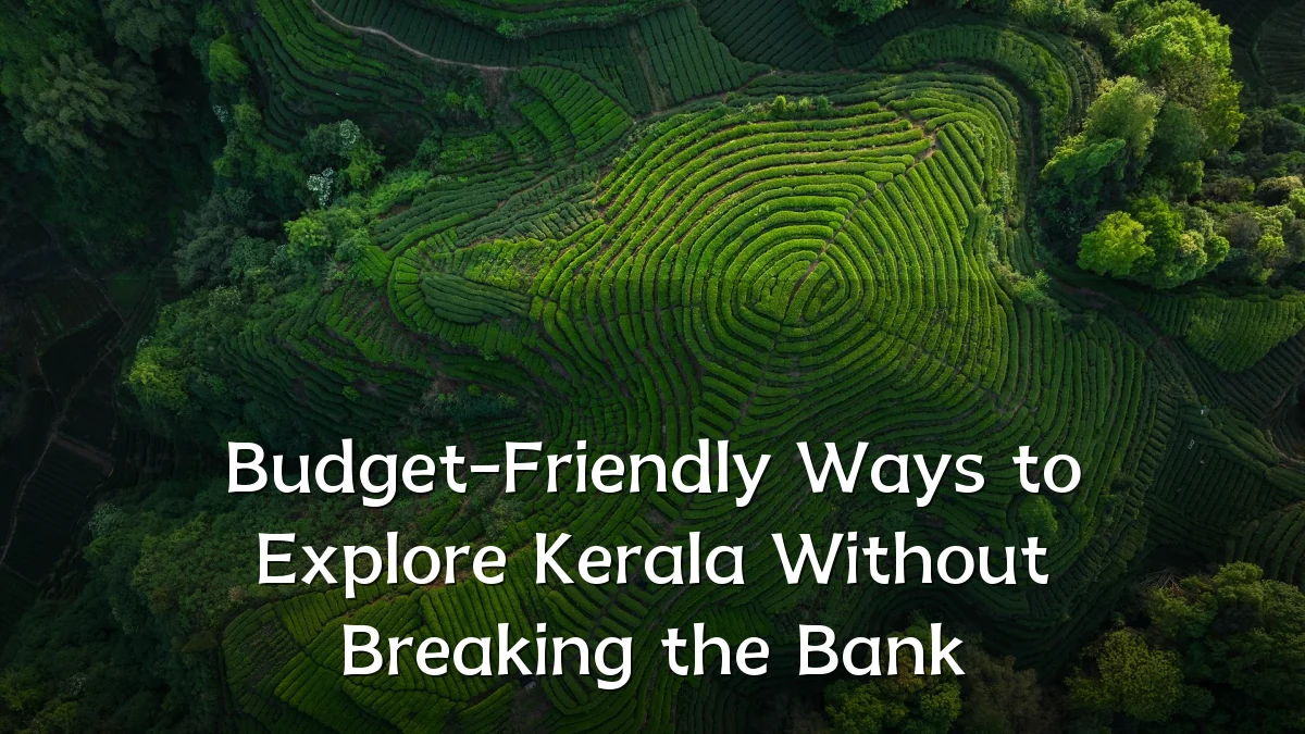 Budget-Friendly Ways to Explore Kerala Without Breaking the Bank