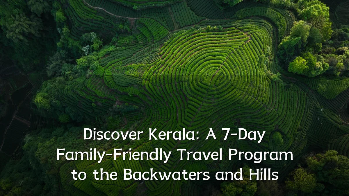 Discover Kerala: A 7-Day Family-Friendly Travel Program to the Backwaters and Hills