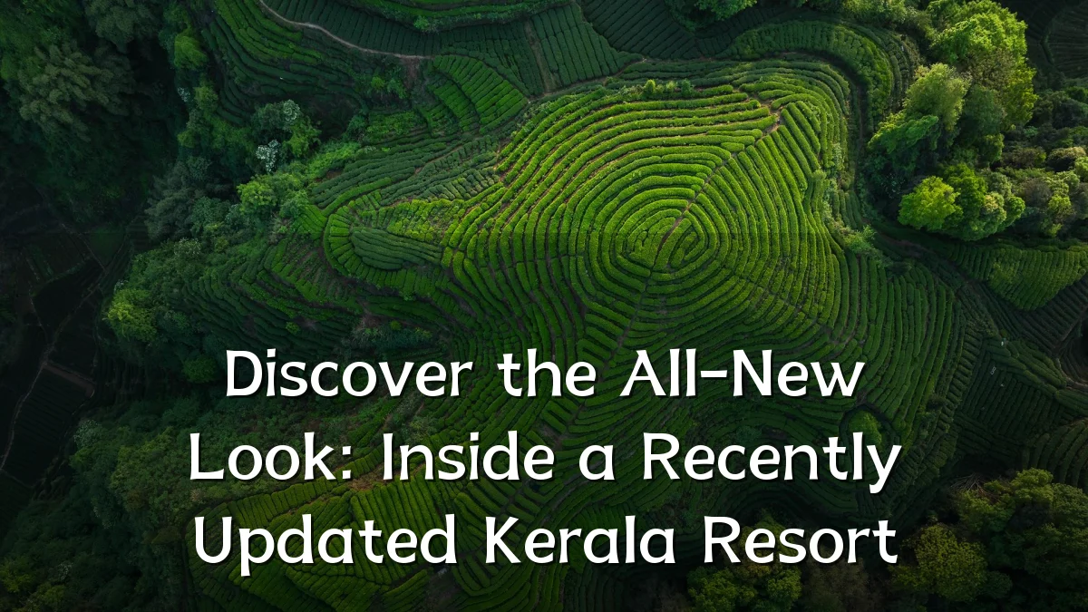Discover the All-New Look: Inside a Recently Updated Kerala Resort