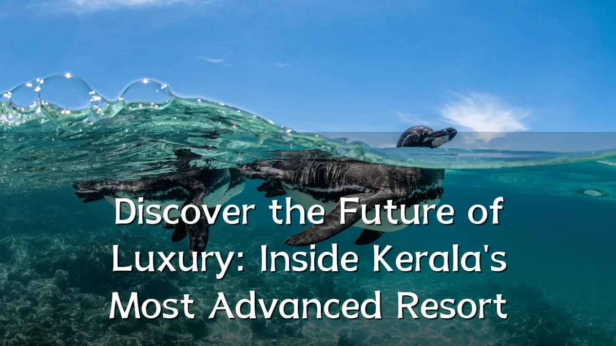 Discover the Future of Luxury: Inside Kerala's Most Advanced Resort