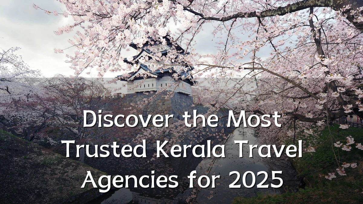 Discover the Most Trusted Kerala Travel Agencies for 2025