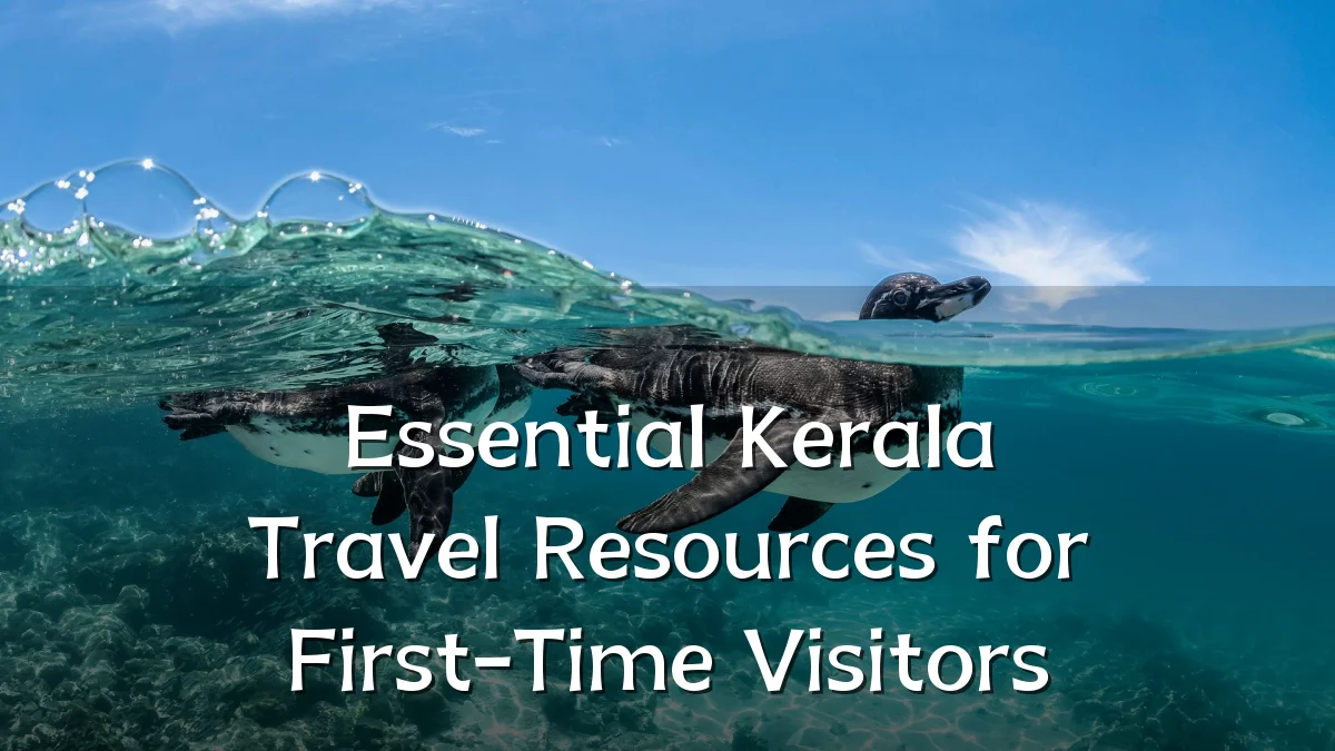 Essential Kerala Travel Resources for First-Time Visitors