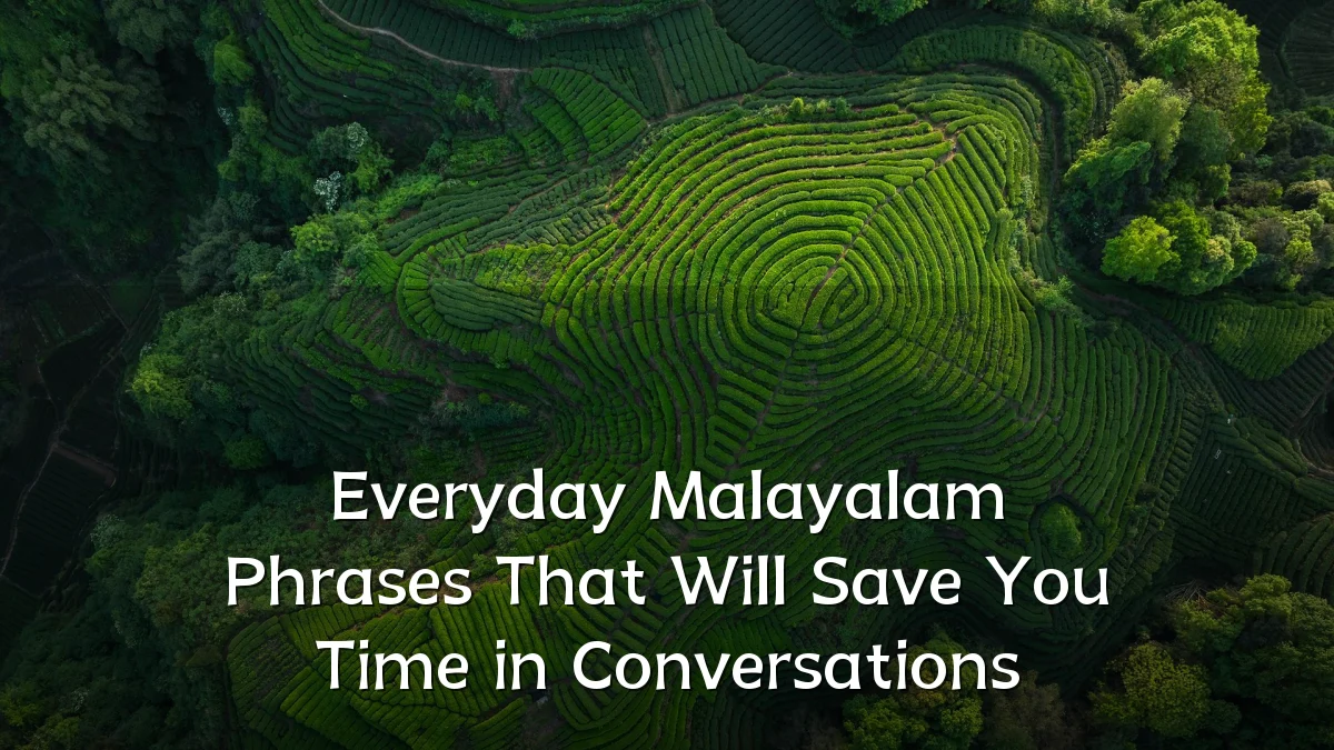 Everyday Malayalam Phrases That Will Save You Time in Conversations