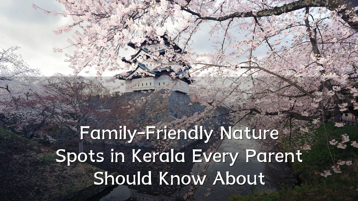 Family-Friendly Nature Spots in Kerala Every Parent Should Know About