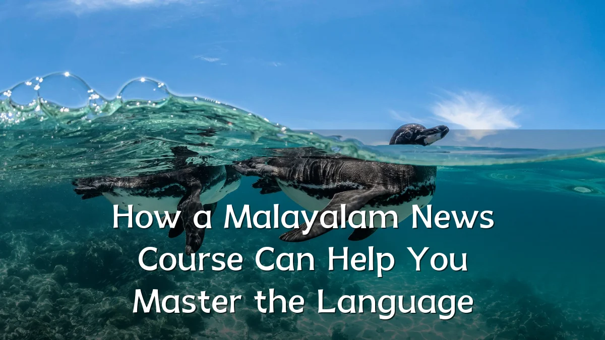 How a Malayalam News Course Can Help You Master the Language