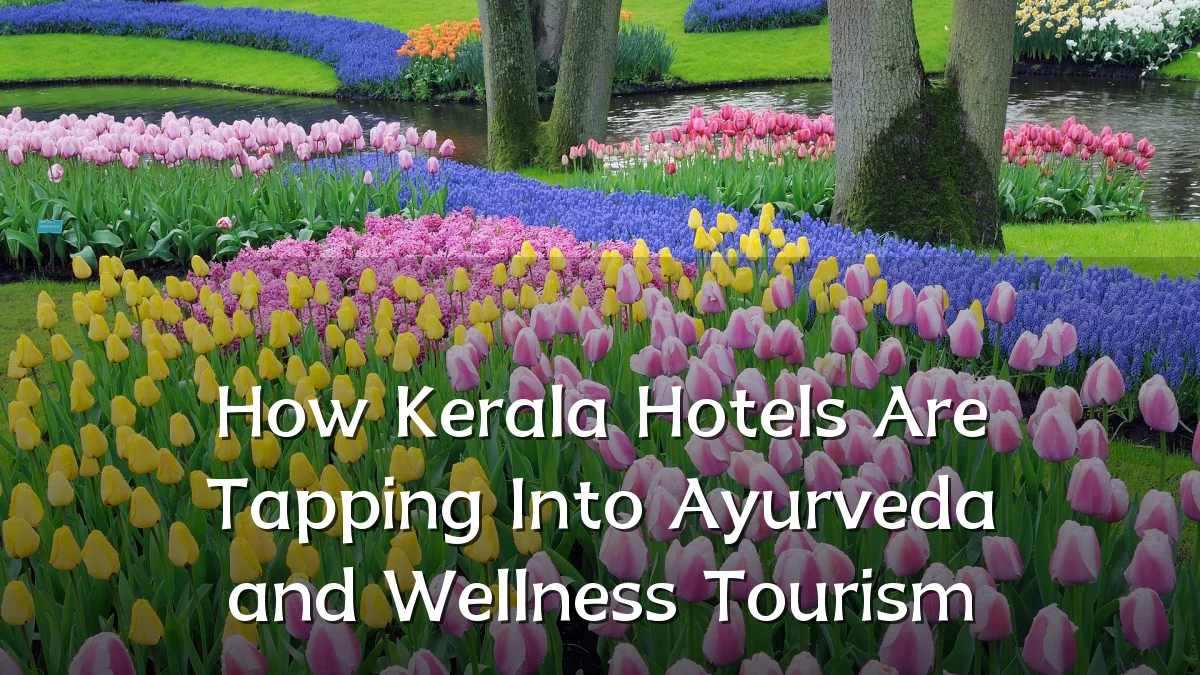 How Kerala Hotels Are Tapping Into Ayurveda and Wellness Tourism