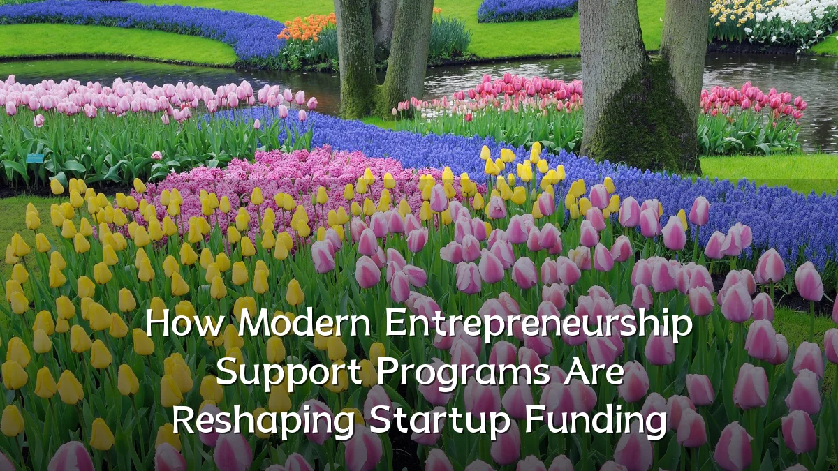 How Modern Entrepreneurship Support Programs Are Reshaping Startup Funding
