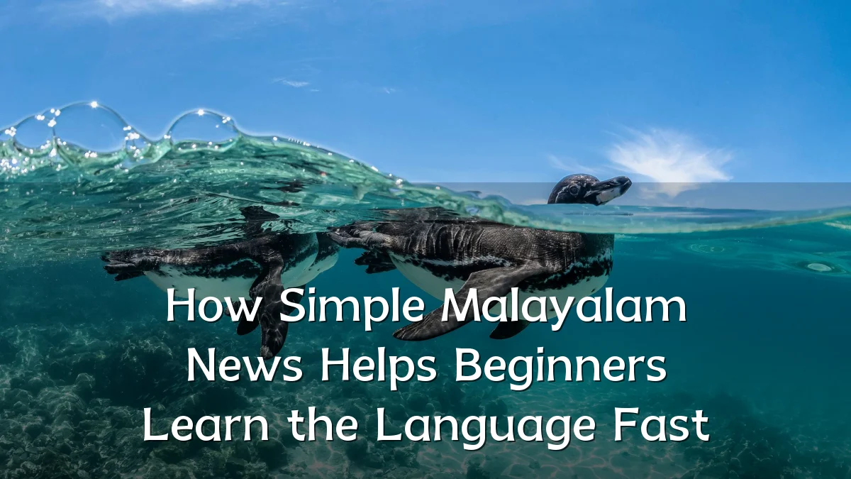 How Simple Malayalam News Helps Beginners Learn the Language Fast