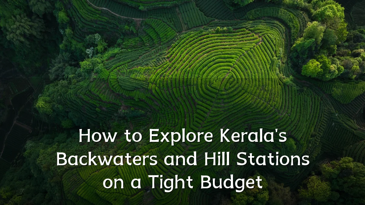 How to Explore Kerala's Backwaters and Hill Stations on a Tight Budget