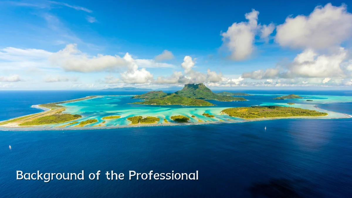 Background of the Professional