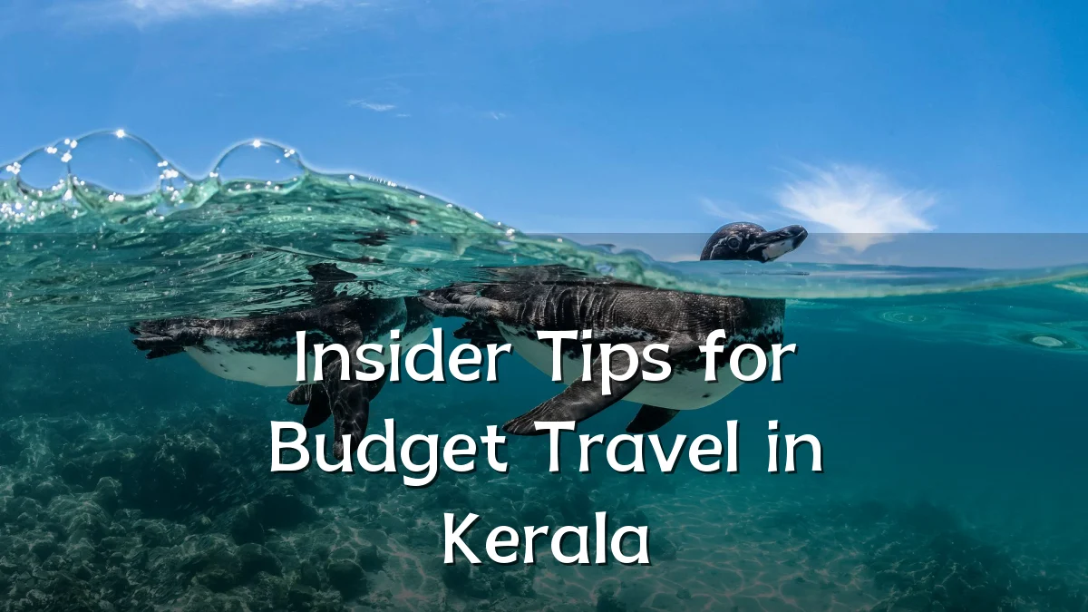Insider Tips for Budget Travel in Kerala
