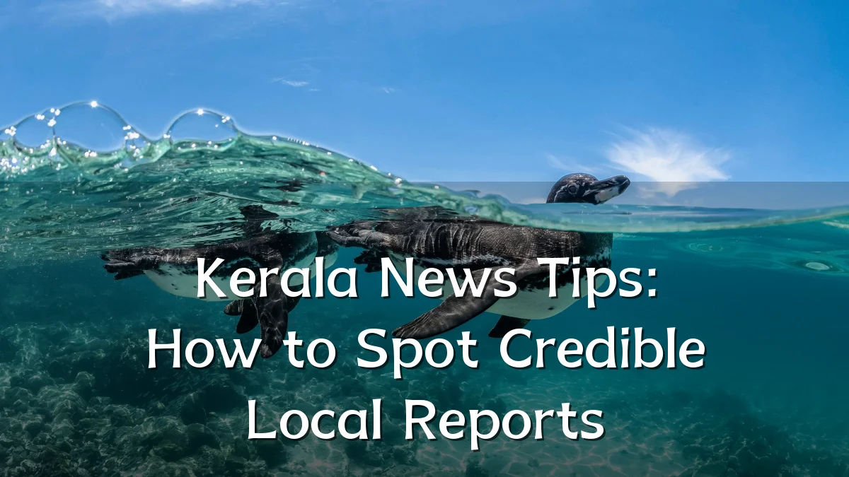 Kerala News Tips: How to Spot Credible Local Reports