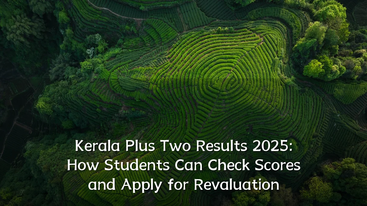 Kerala Plus Two Results 2025: How Students Can Check Scores and Apply for Revaluation
