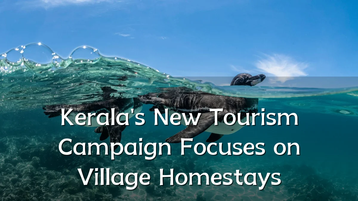 Kerala's New Tourism Campaign Focuses on Village Homestays