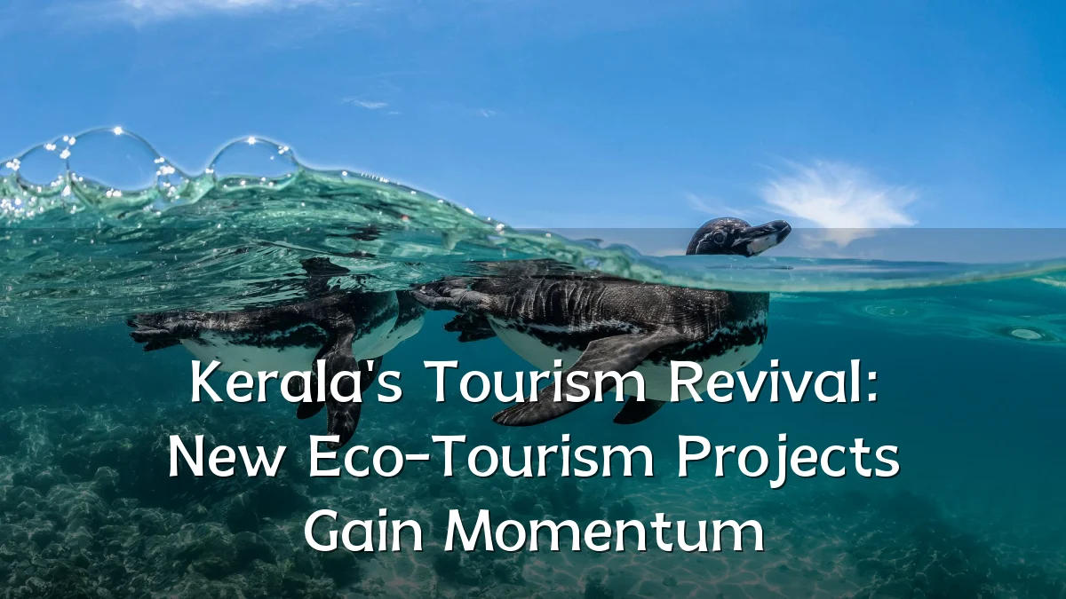 Kerala's Tourism Revival: New Eco-Tourism Projects Gain Momentum