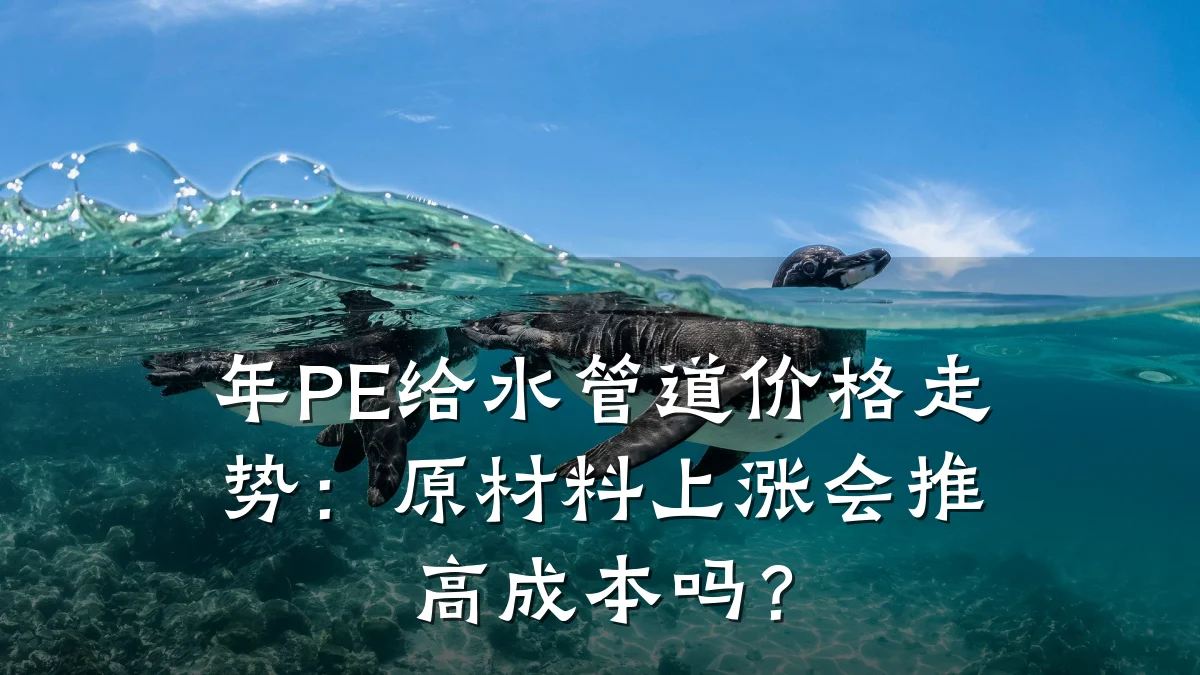 年PE给水管道价格走势：原材料上涨会推高成本吗？